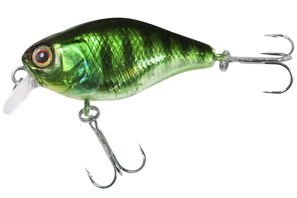hl blue gill