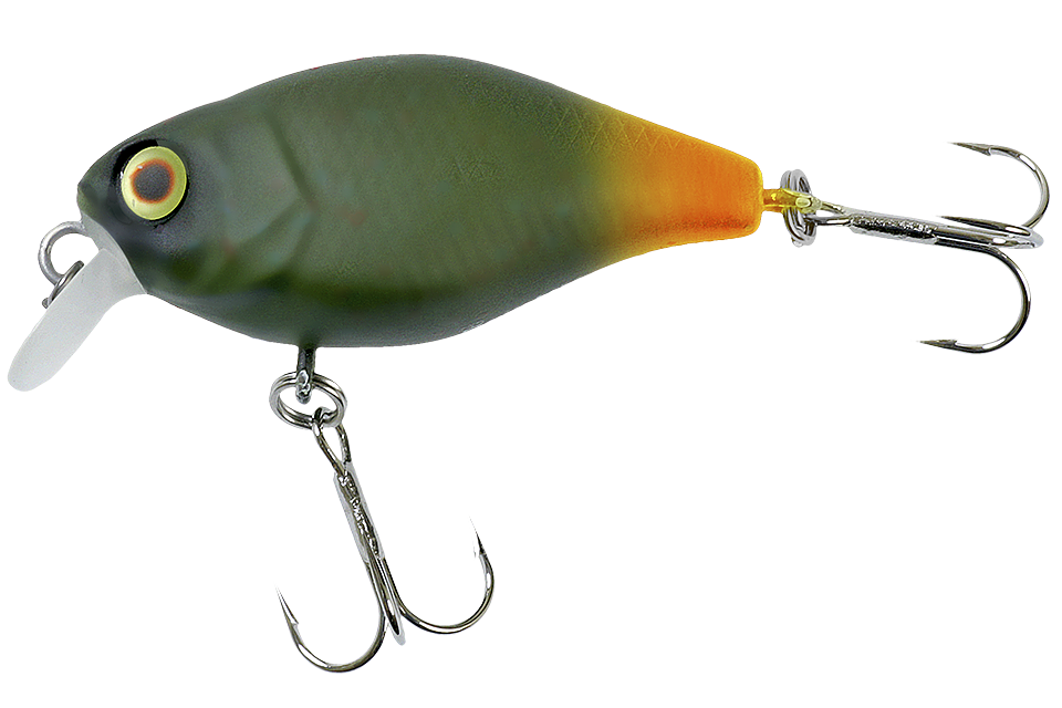 green pellet orange