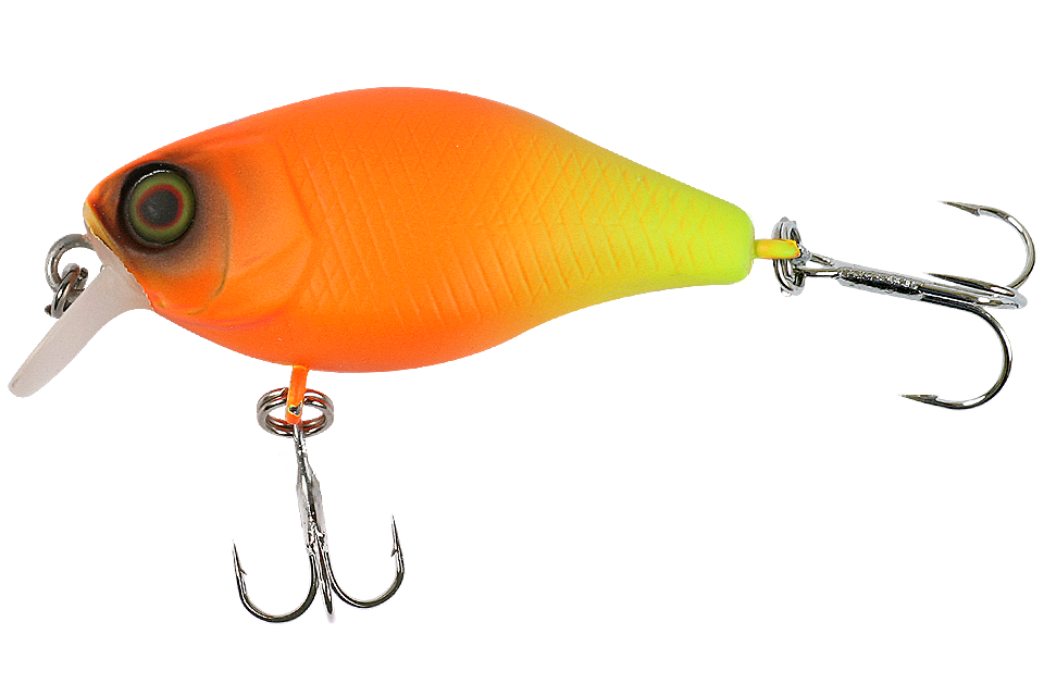 orange chartreuse