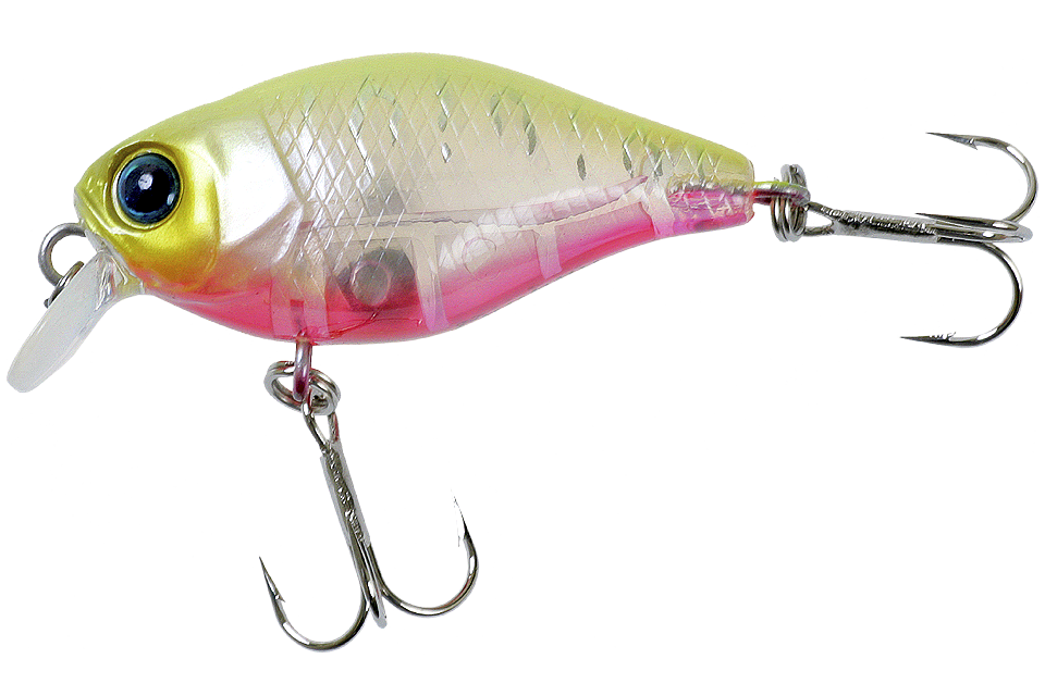 clear chartreuse tiger