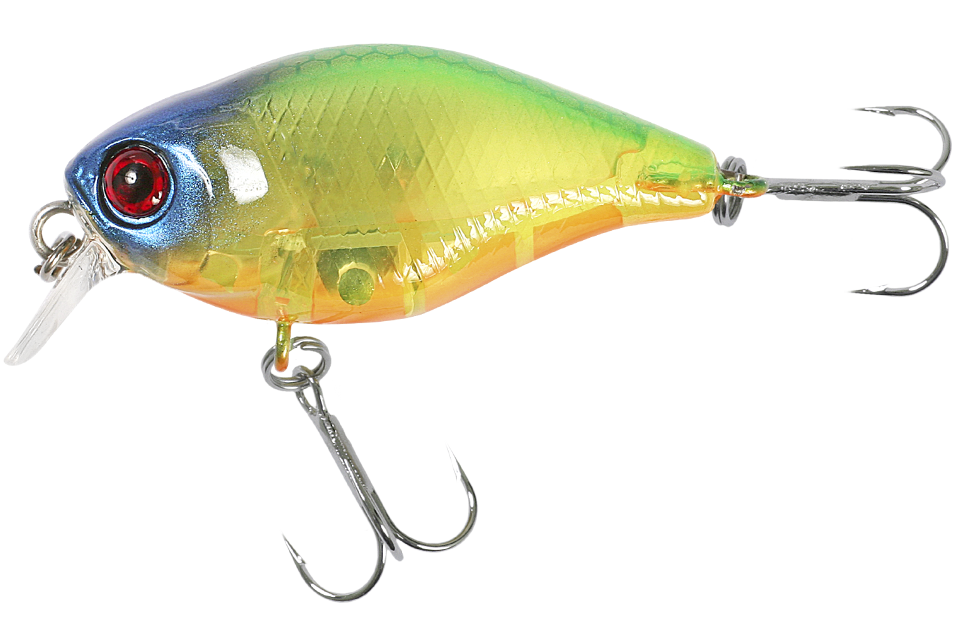 lime squash