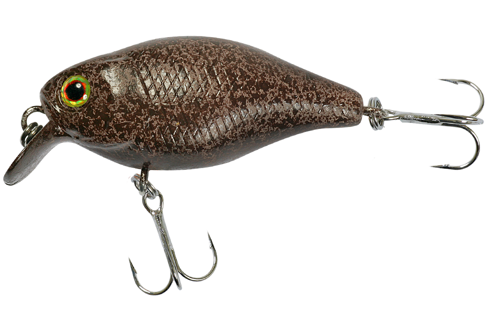 tackey brown