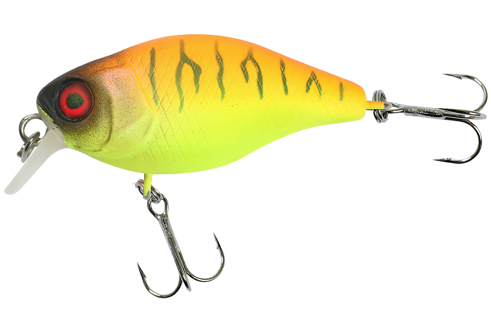 tropical mat tiger