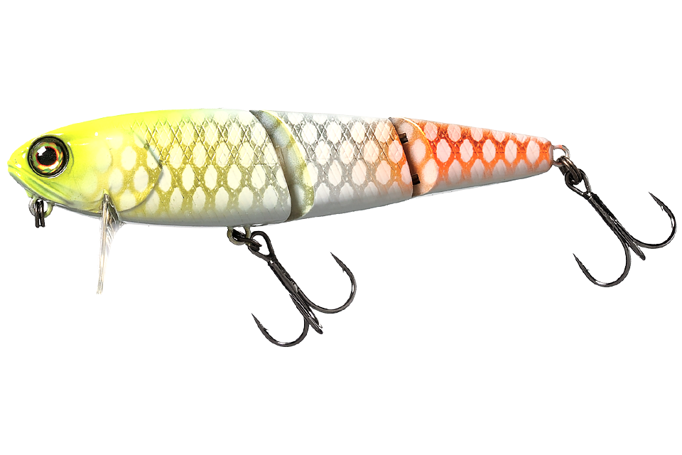 albino chartreuse piraruku