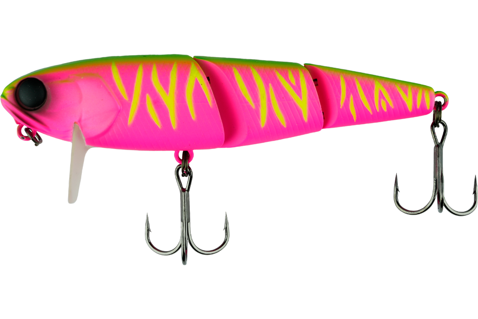 dragon fruit mat tiger