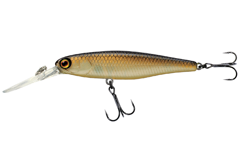 noike shad