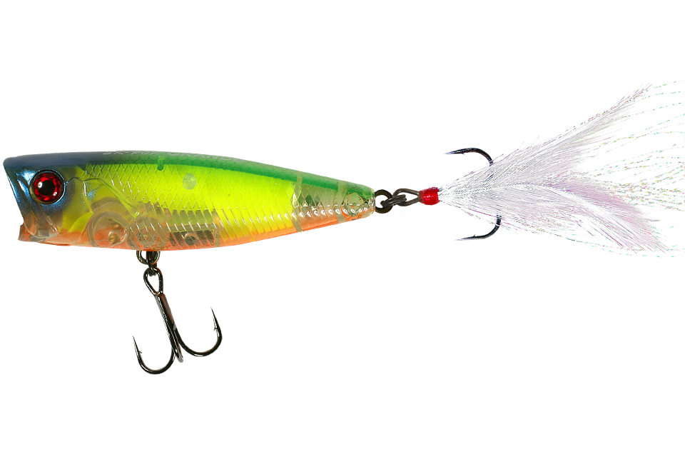 fp lime squash