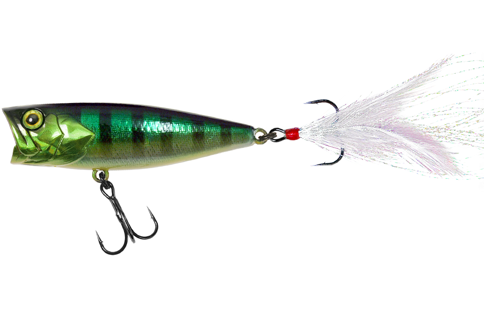 hl blue gill
