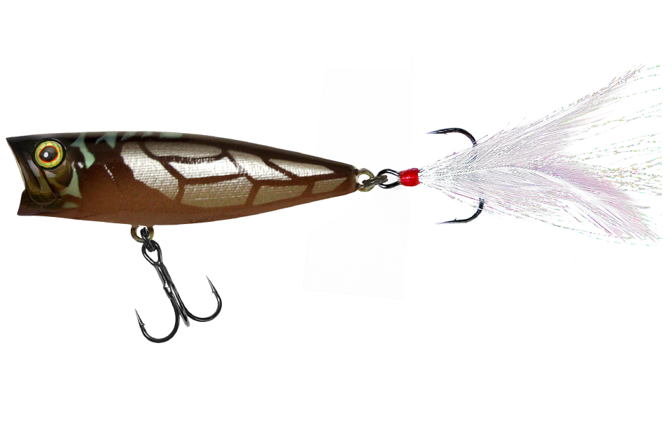 cicada b