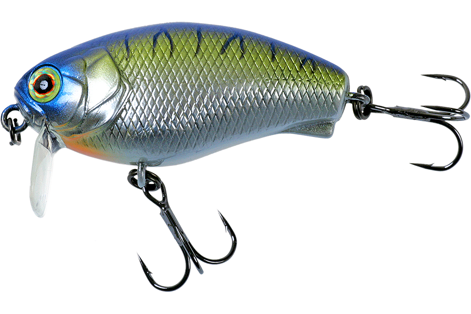 chrome tiger