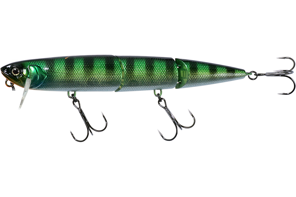 blue gill
