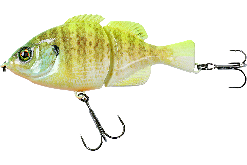 rt albino chartreuse gill