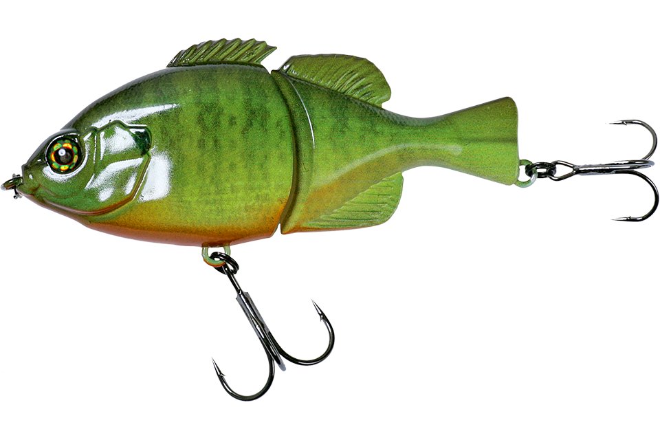 rt blue gill