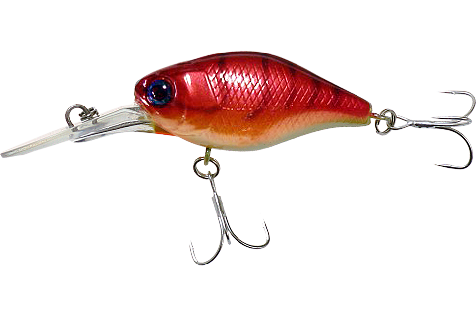 craw fish