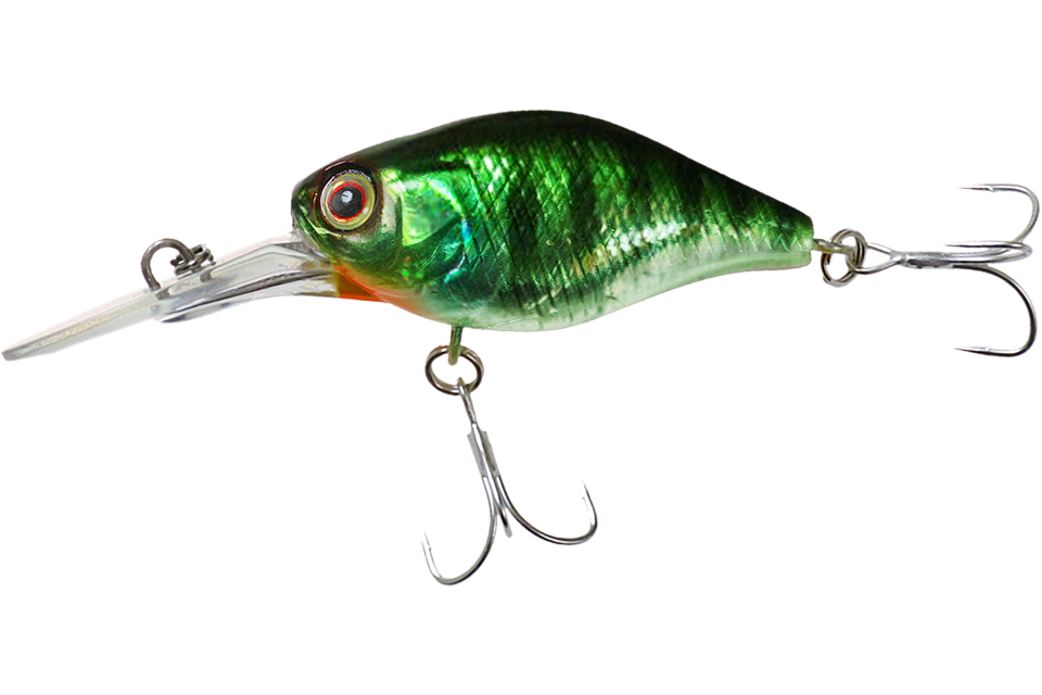 hl blue gill