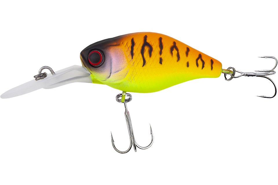 tropical mat tiger