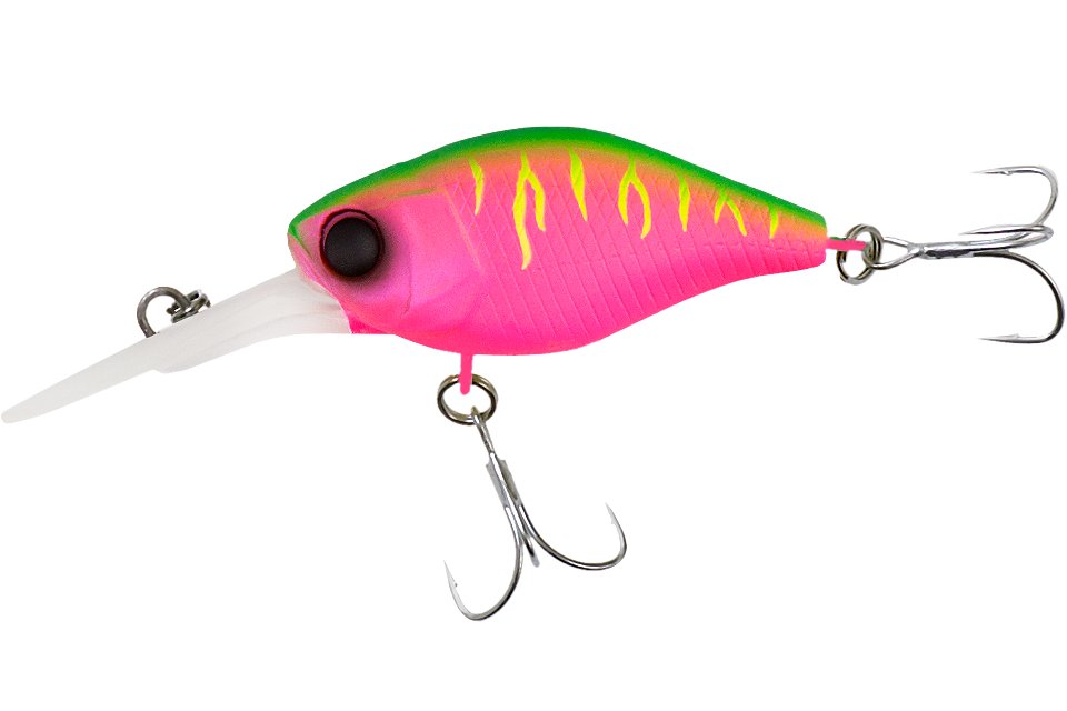 dragon fruit mat tiger