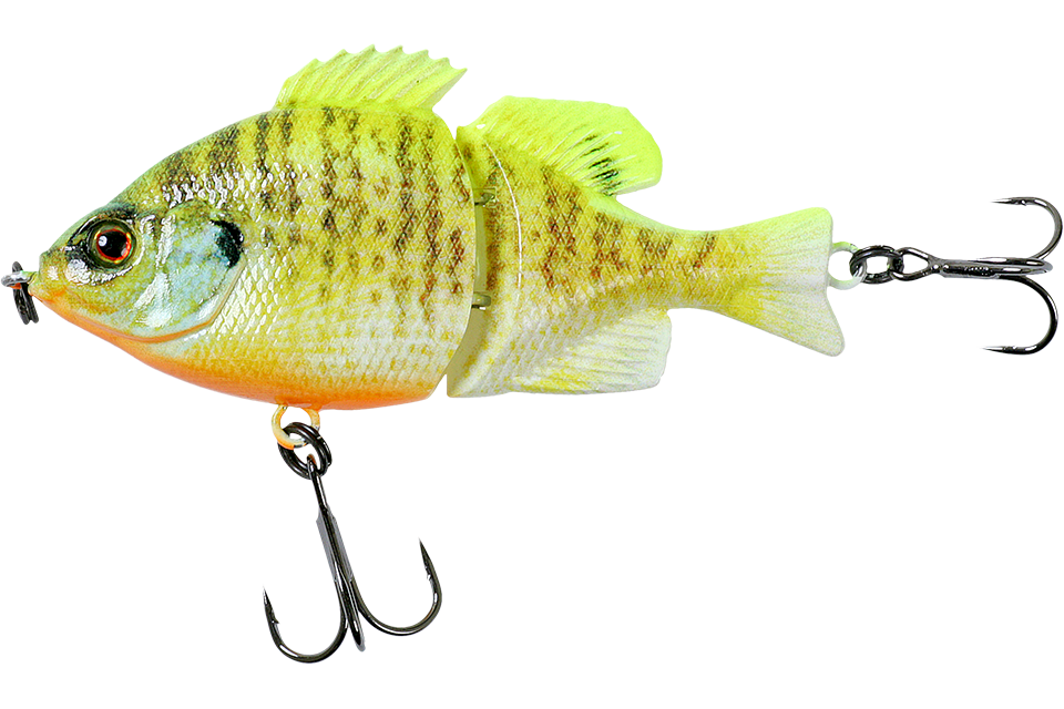 rt albino chartreuse gill