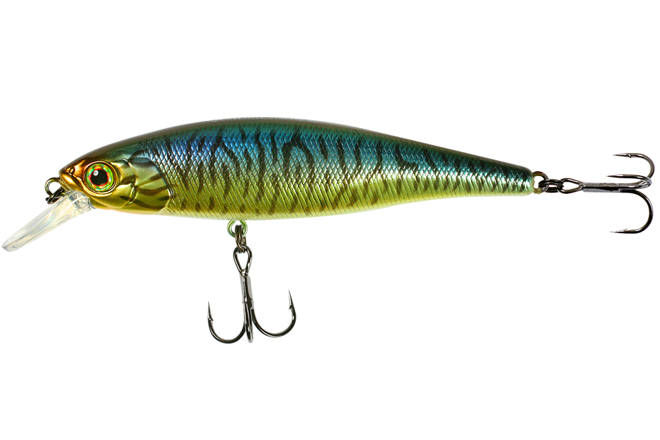 hl bronze blue pike