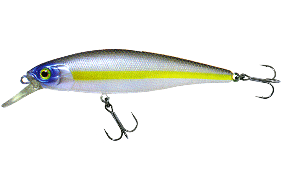 chartreuse shad