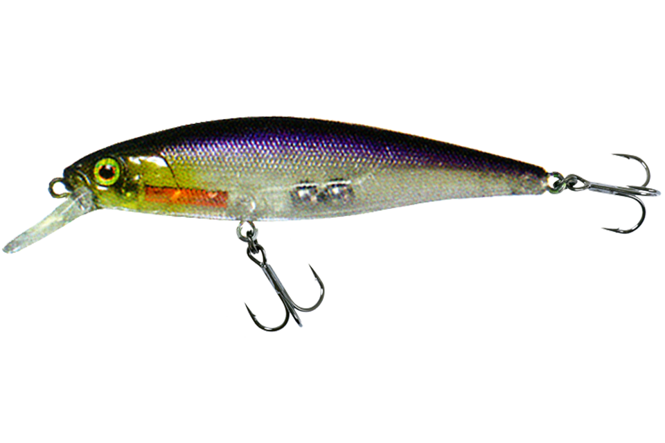 ghost minnow
