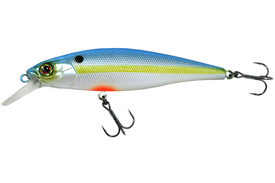ss shad