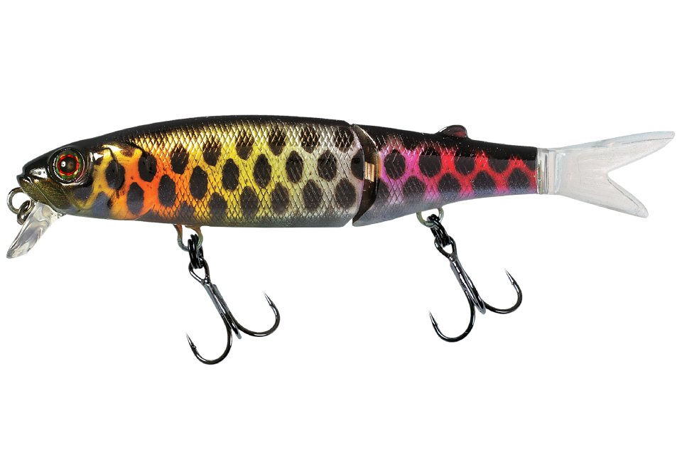 black piraruku