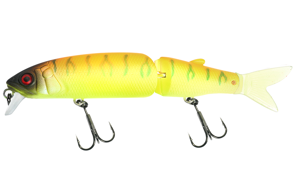 tropical mat tiger