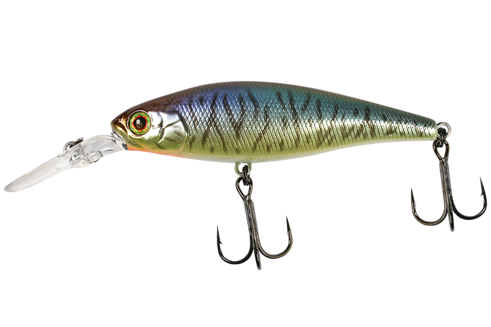 hl bronze blue pike