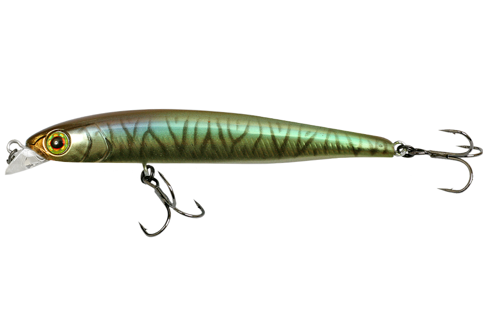 hl bronze blue pike