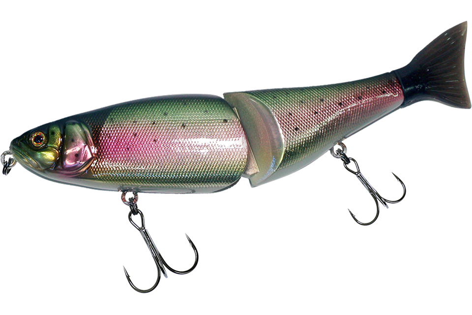 rainbow trout
