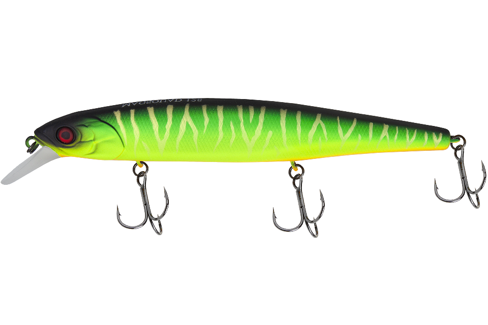 uv mat tiger