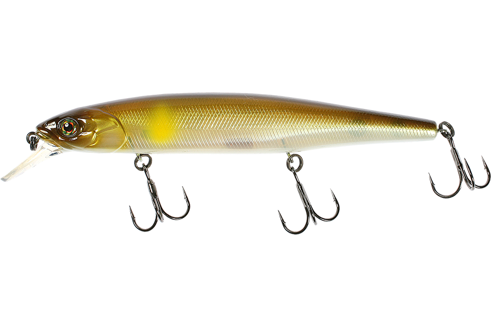 ghost minnow