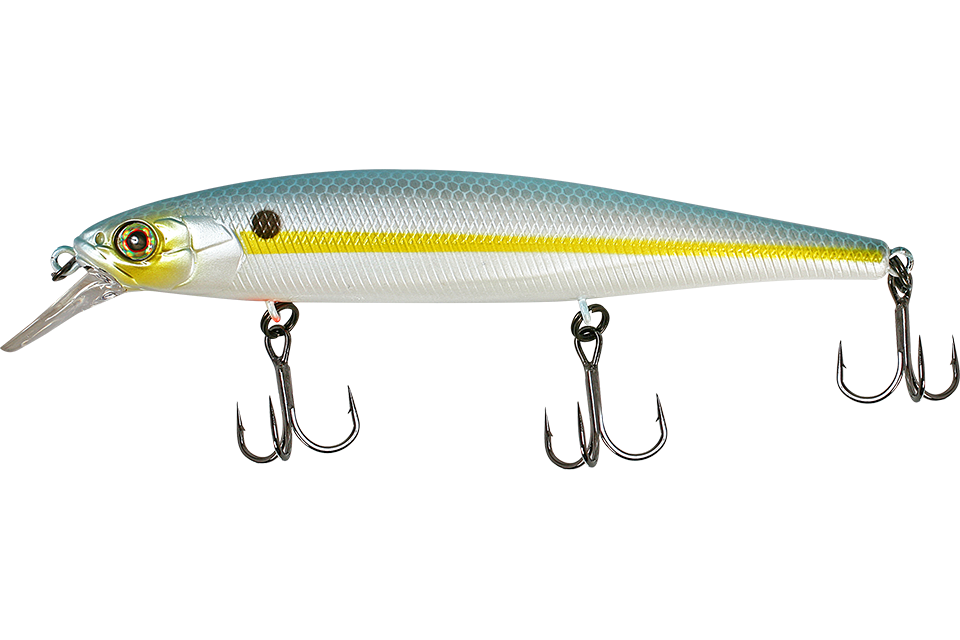 ss shad