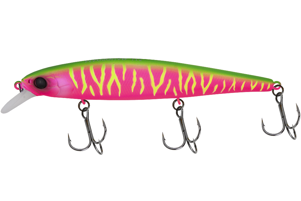 dragon fruit mat tiger