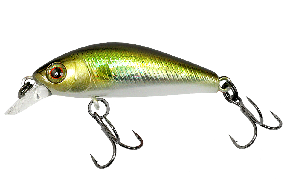 hl shad