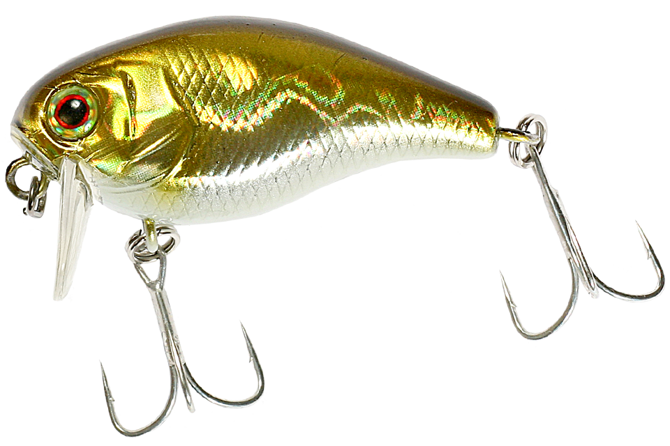 hl shad