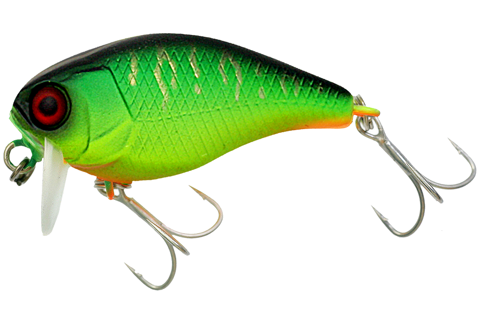 mat tiger