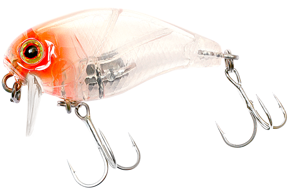 clear salmon roe head