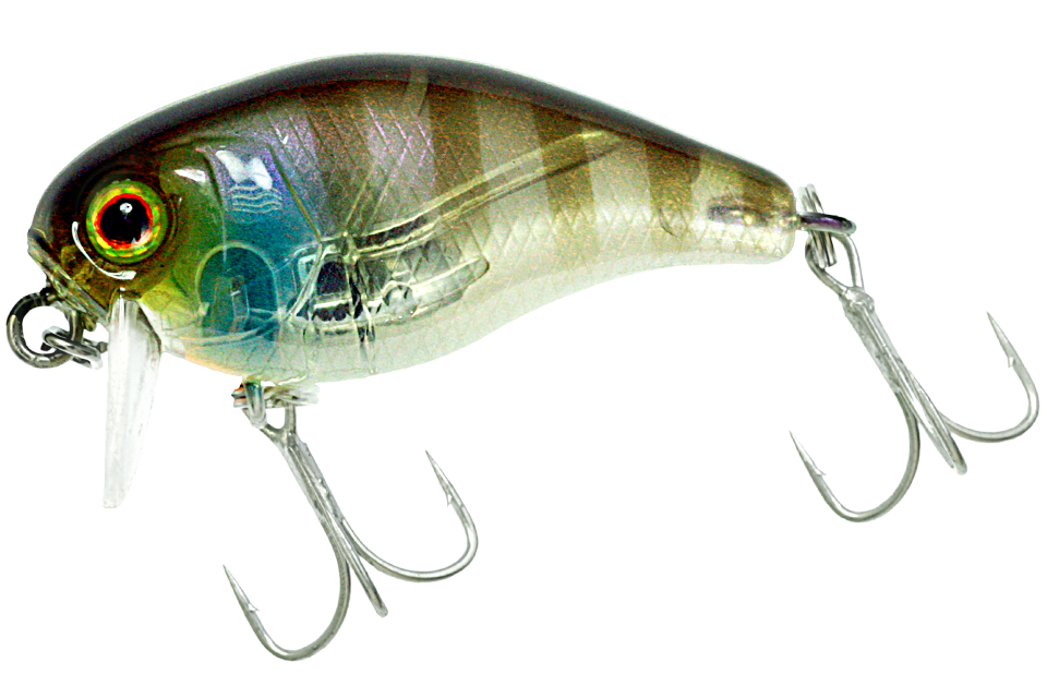 ghost gill
