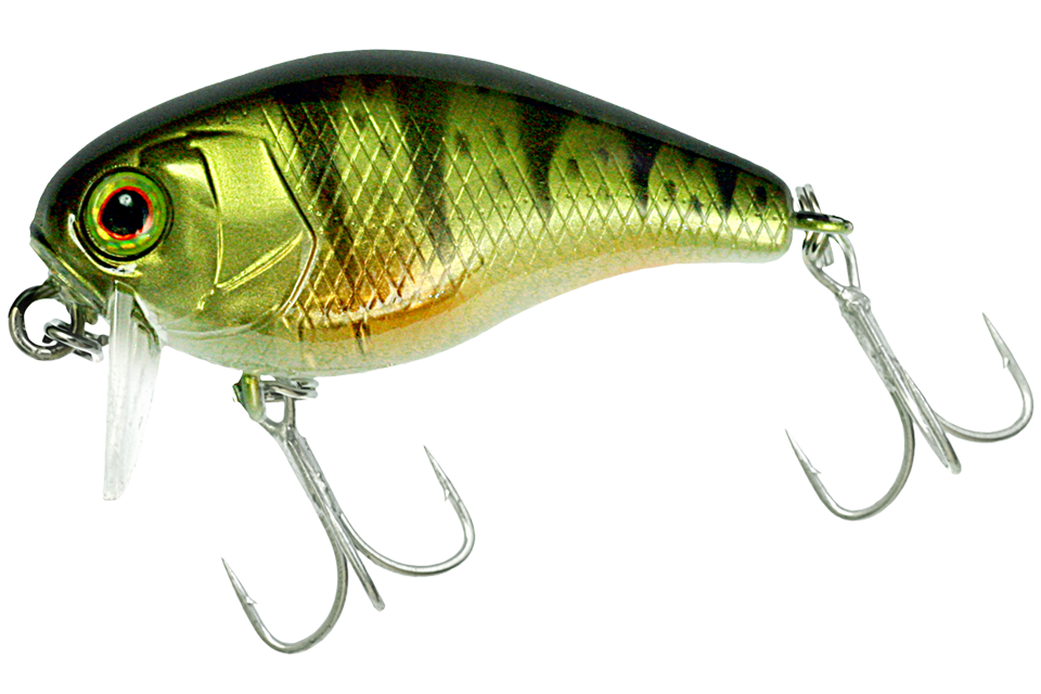 ghost g perch