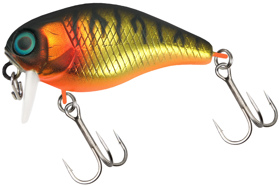 mat gold tiger