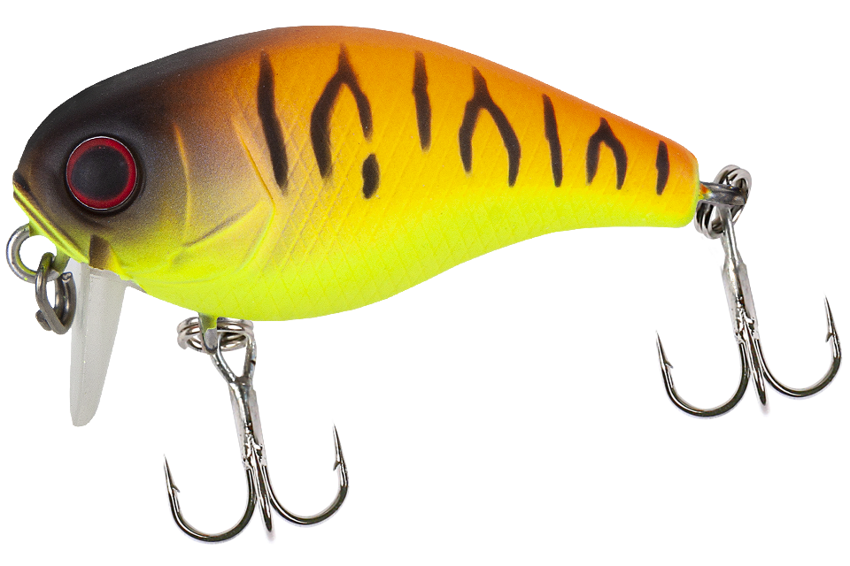 tropical mat tiger