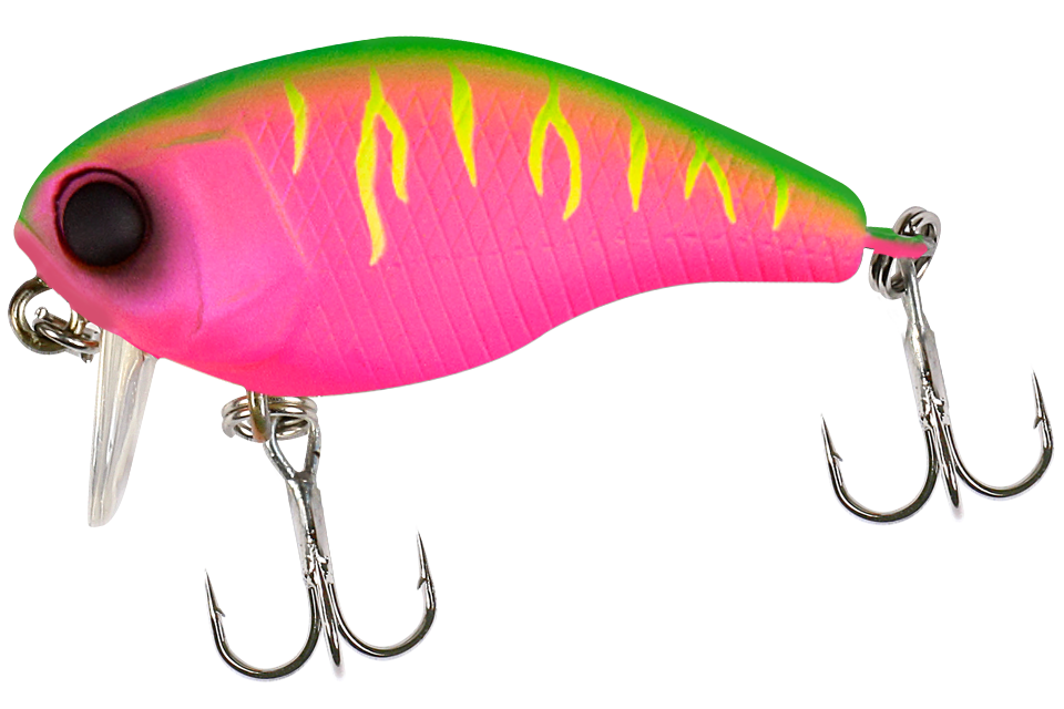 dragon fruit mat tiger