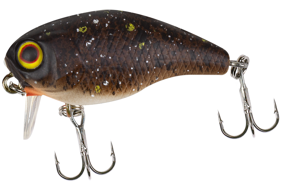 brown bug