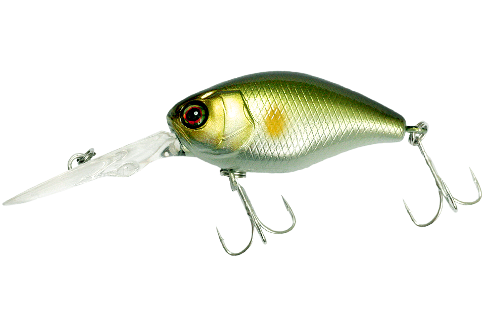 ayu
