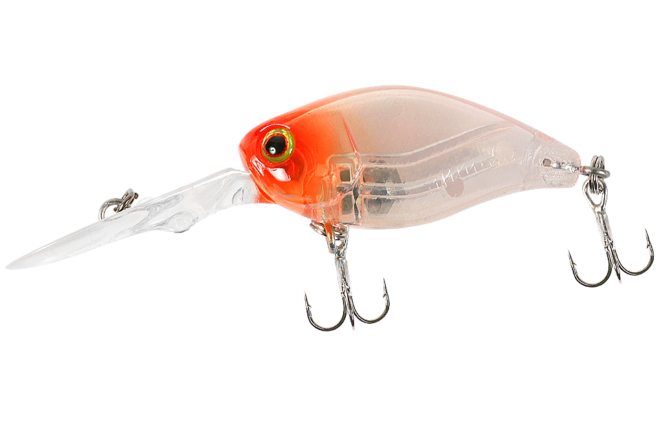 clear salmon roe head