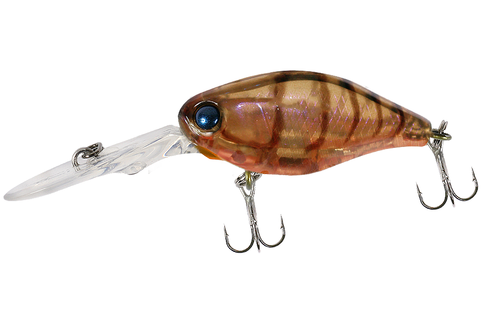 brown suji shrimp