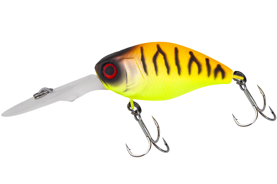 tropical mat tiger