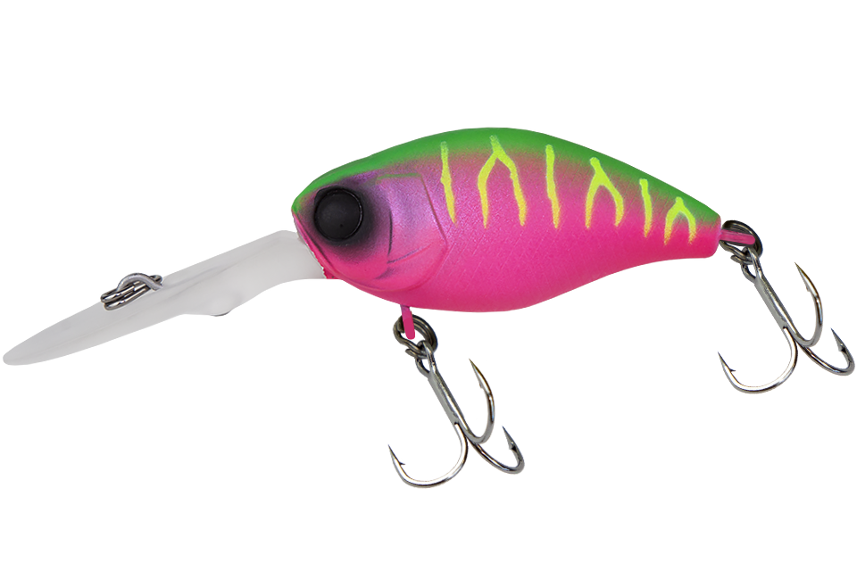 dragon fruit mat tiger